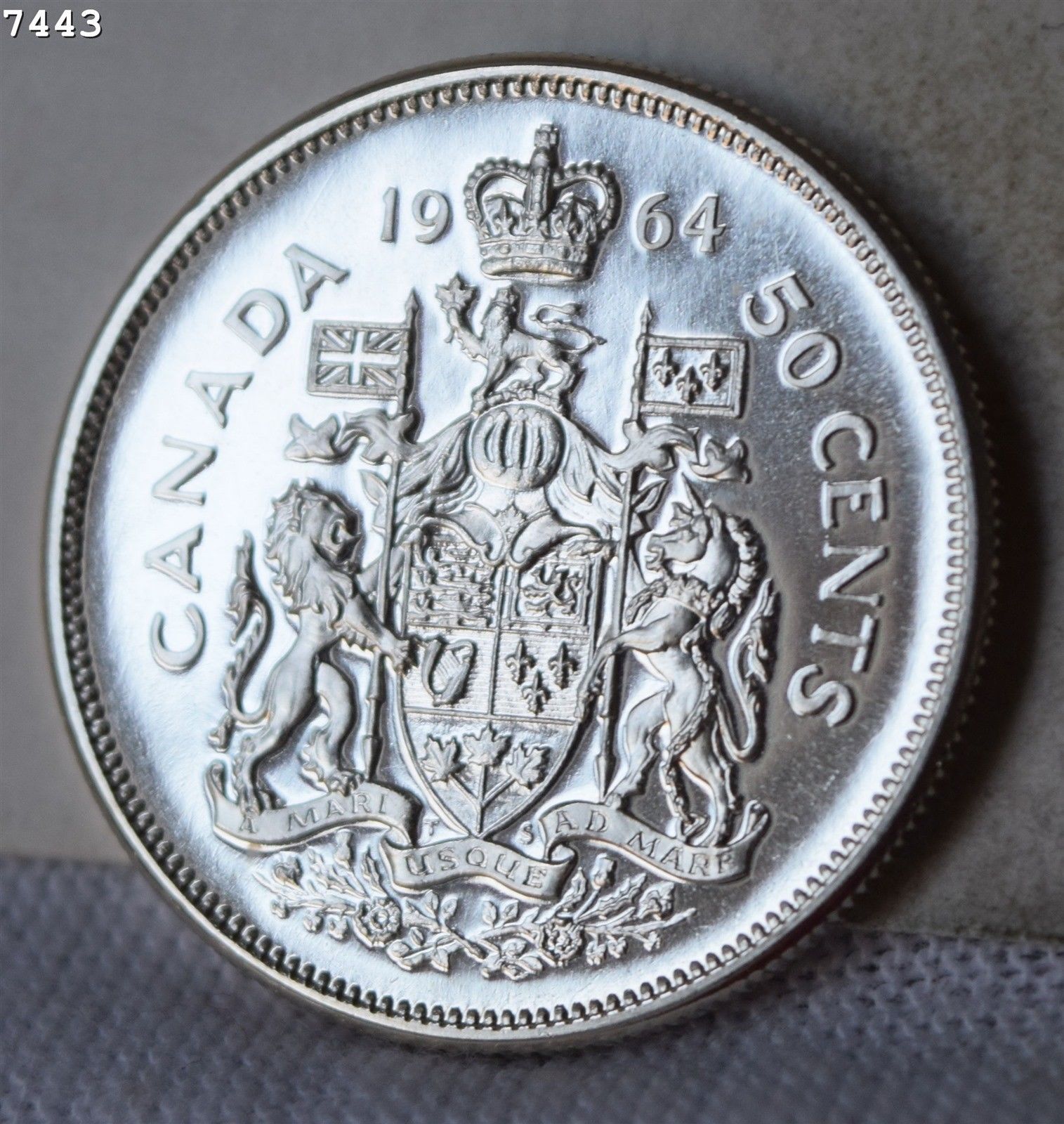 ca50c1964.jpg
