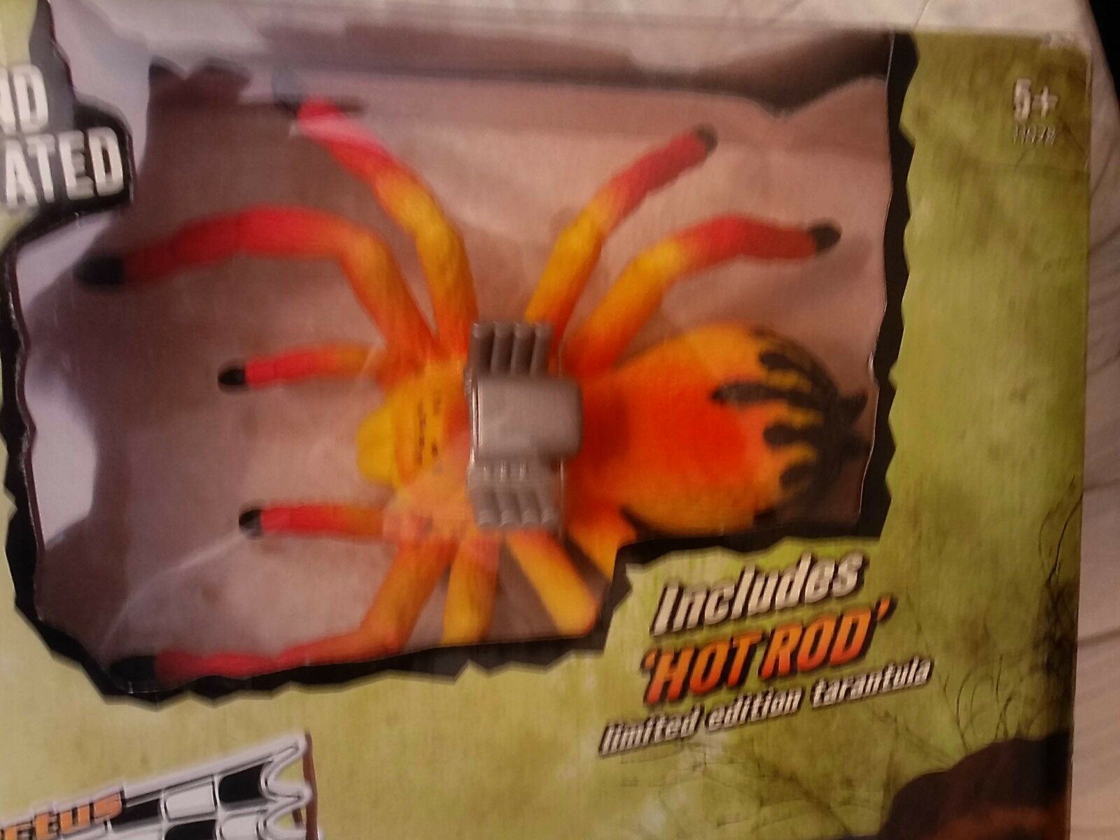 cactus 2.jpg