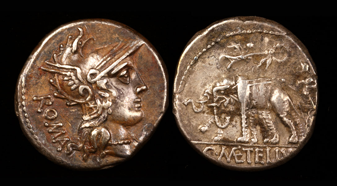 caecilius01-mr100b-sm.jpg
