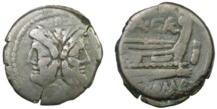 caecilius_Cr147.1.jpg