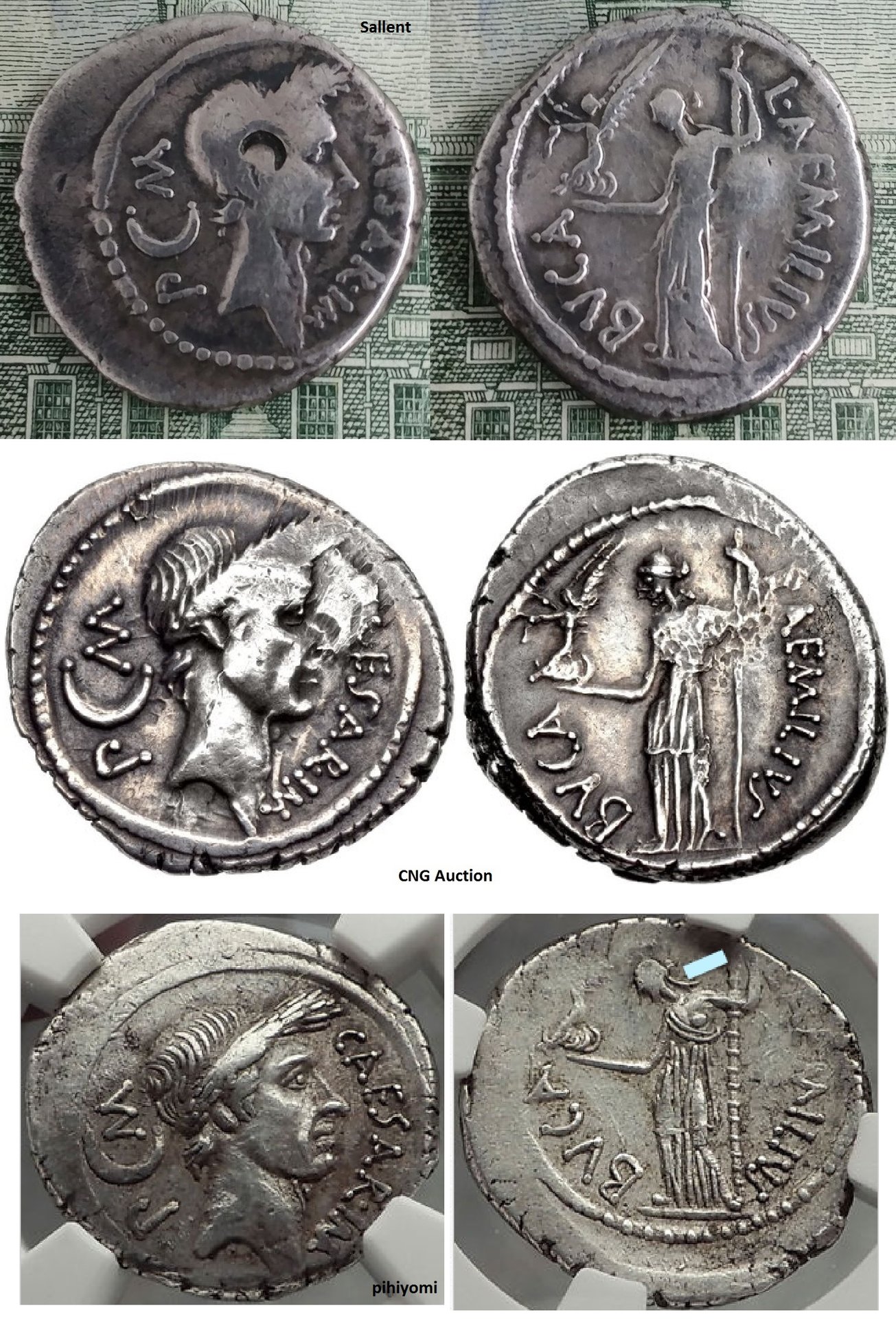 caesar 1.jpg