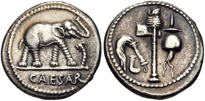 Caesar Denarius Elephant CNG 2010.jpg