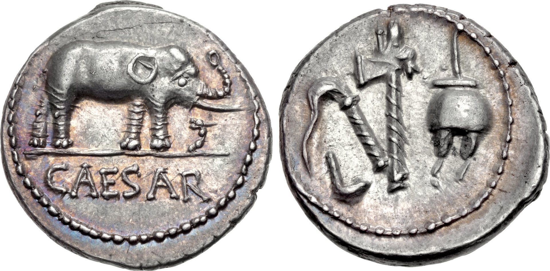 Caesar Denarius Elephant CNG 2011.jpg