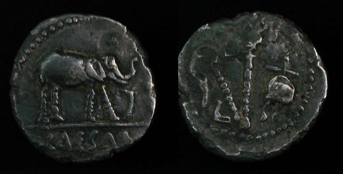Caesar Elephant.jpg
