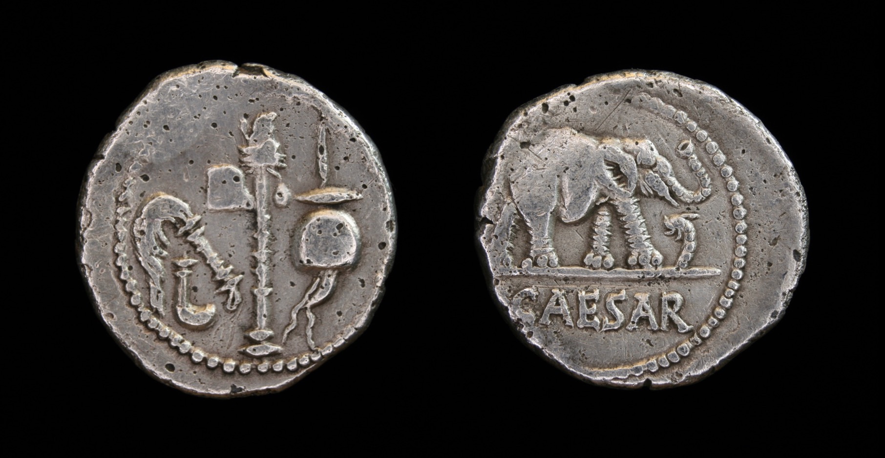 caesar elephant.jpg