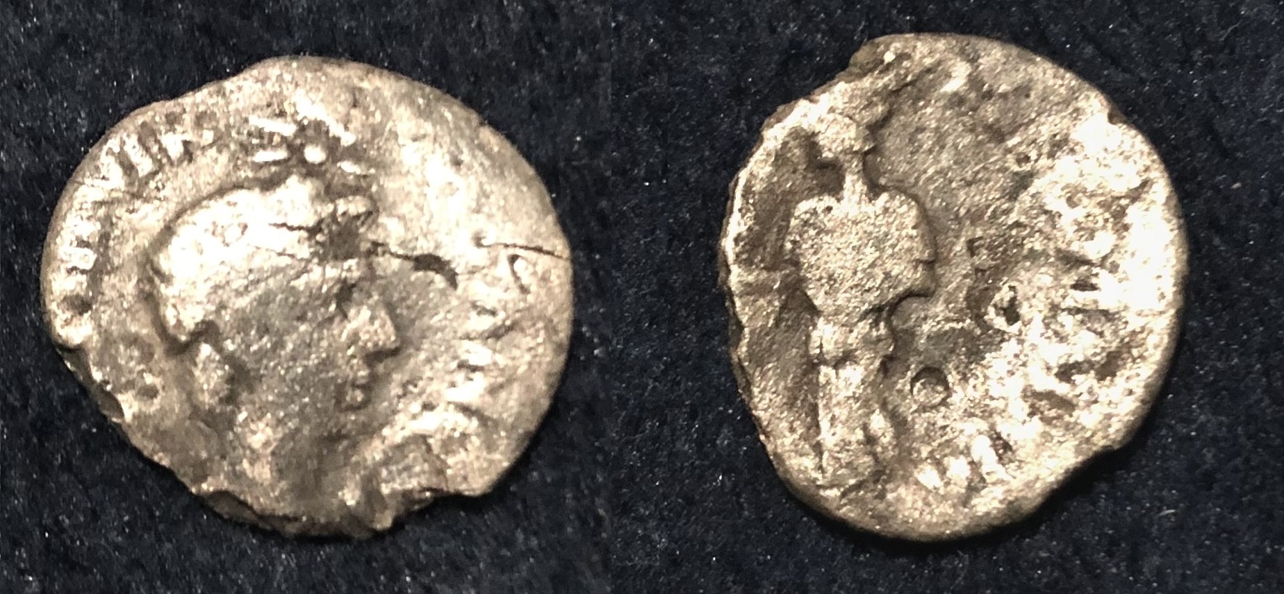 Caesar.jpg.2adeb517fd7f1dded7f5d3138575a6ce.jpg.2b91c722328aa4b69d14498340605b4e.jpg