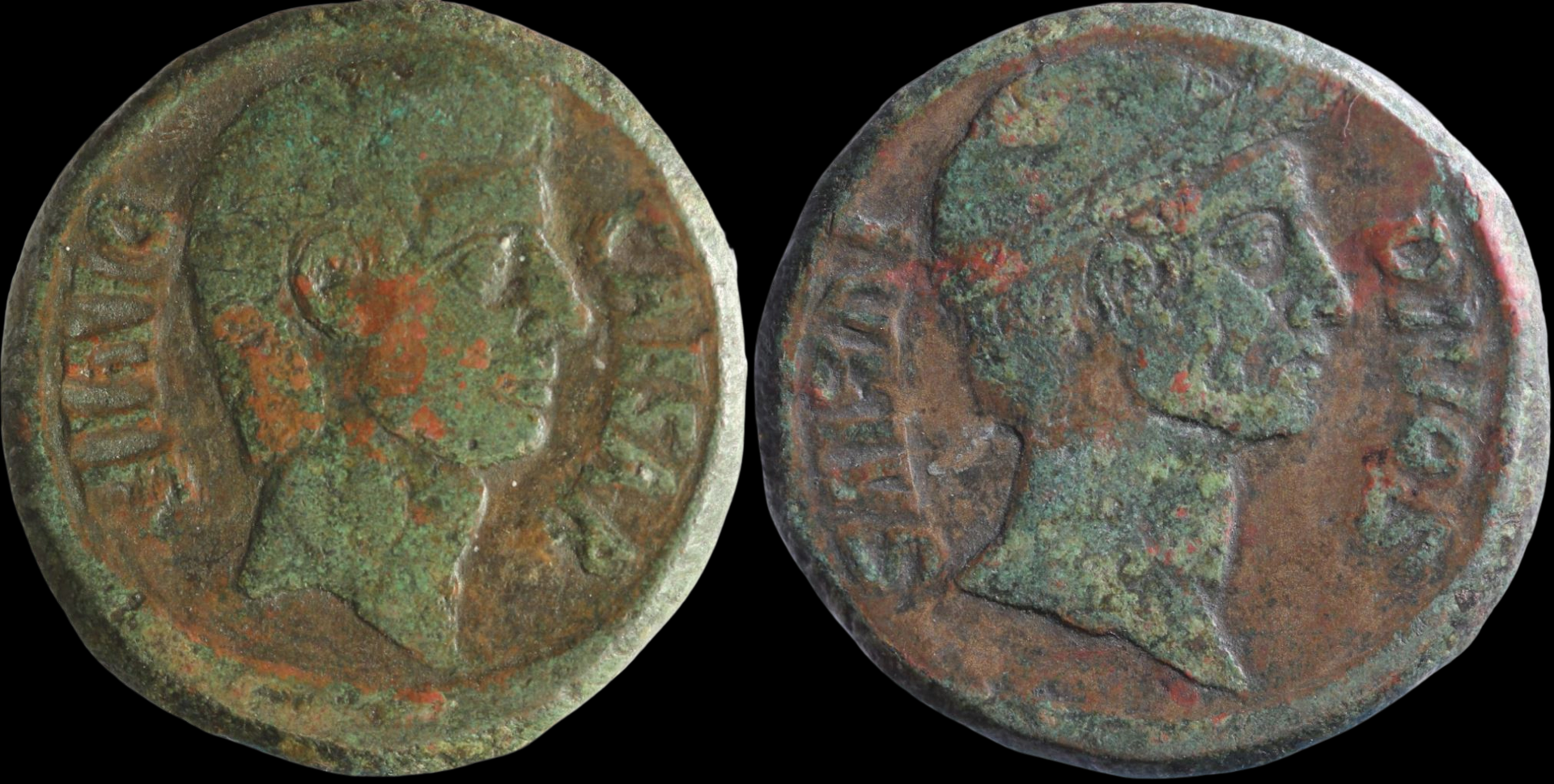 Caesar-removebg (1).png