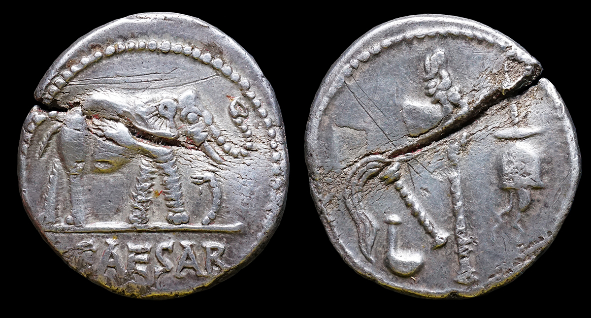 Caesar_elephant.jpg