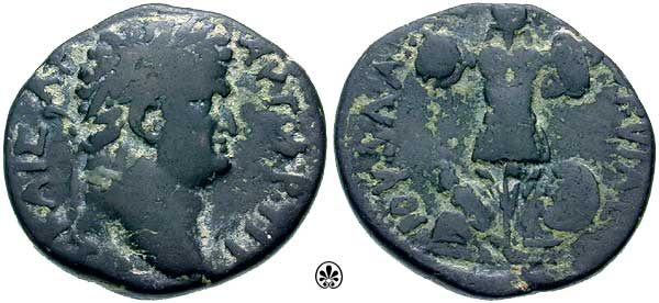 Caesara Maritima - Titus AE Trophy w Captive Hendin 745 - wildwinds pic3.jpg