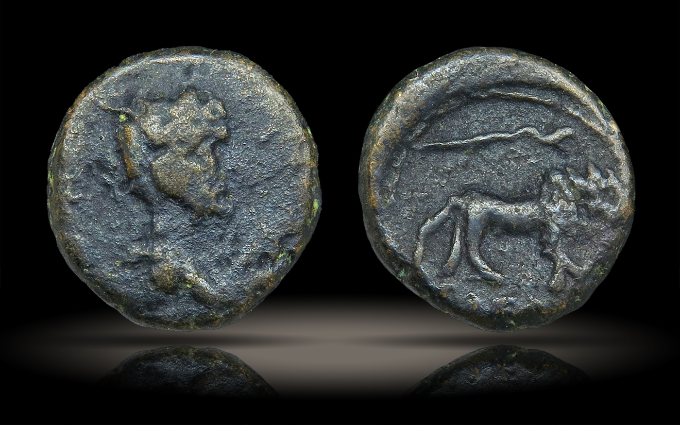 CaesariaMaritima-Hadrian-LionSnake-AMCC2.jpg