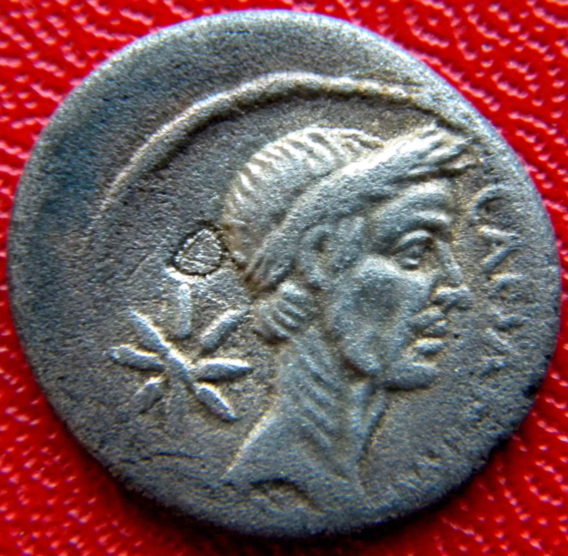 CAESARIMP.jpg