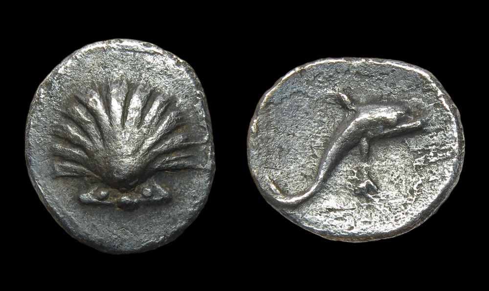 CALABRIA-Taras-ARlitra-Scallop-Dolphin.jpg