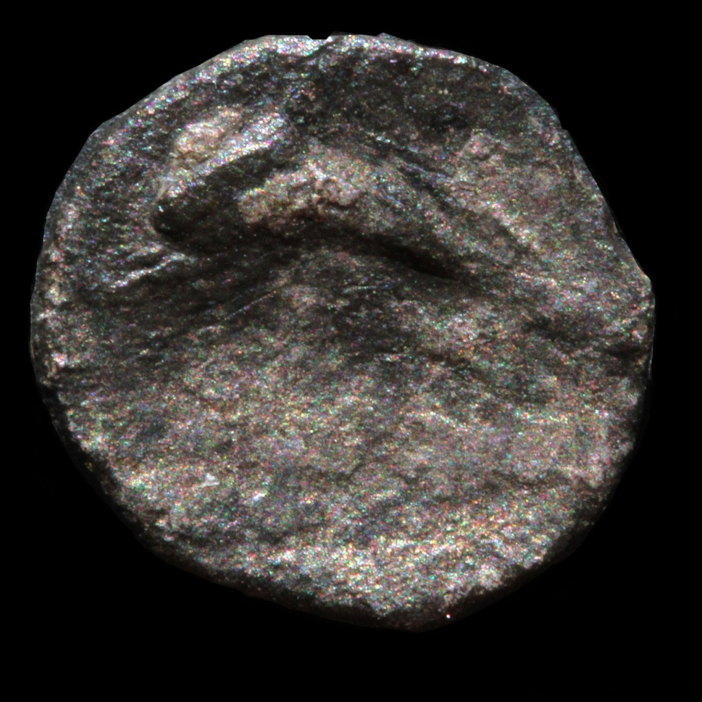 calabria tarentum 20150027 rev.png