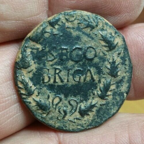 Caligula sego briga 2.jpg