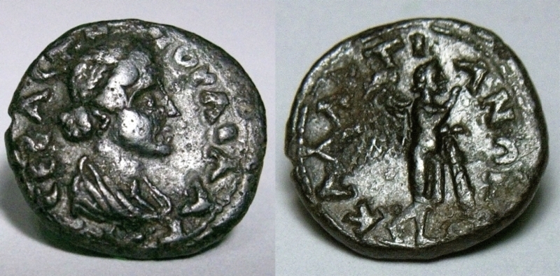 callatis~0A.jpg