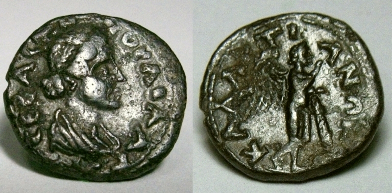 callatis~0A.jpg
