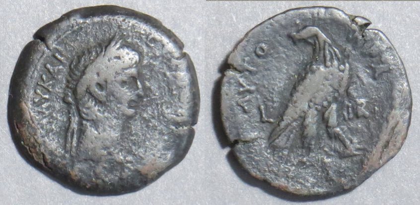 CaludiusAlexandriaEagleSm.jpg