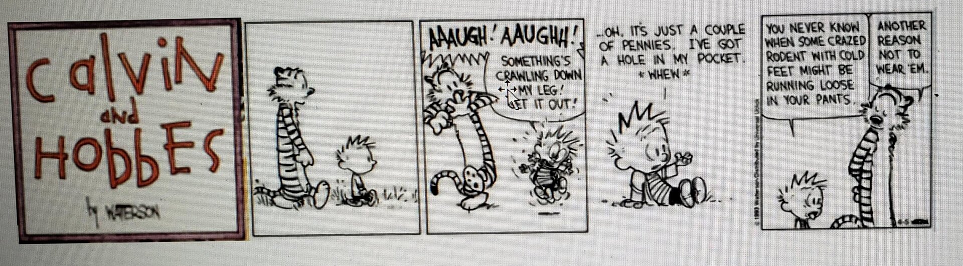 calvin and hobbes.jpg