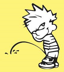 calvin.png