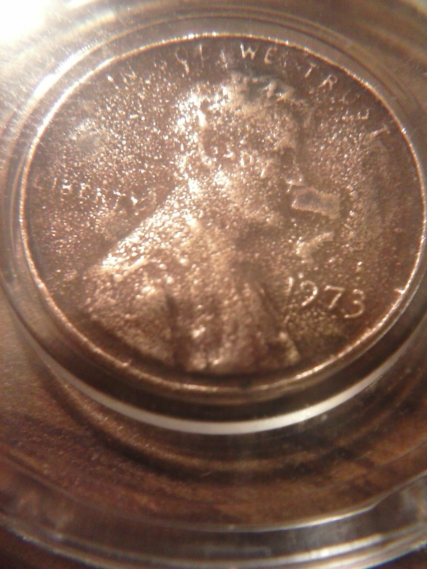 CAM00010.jpg