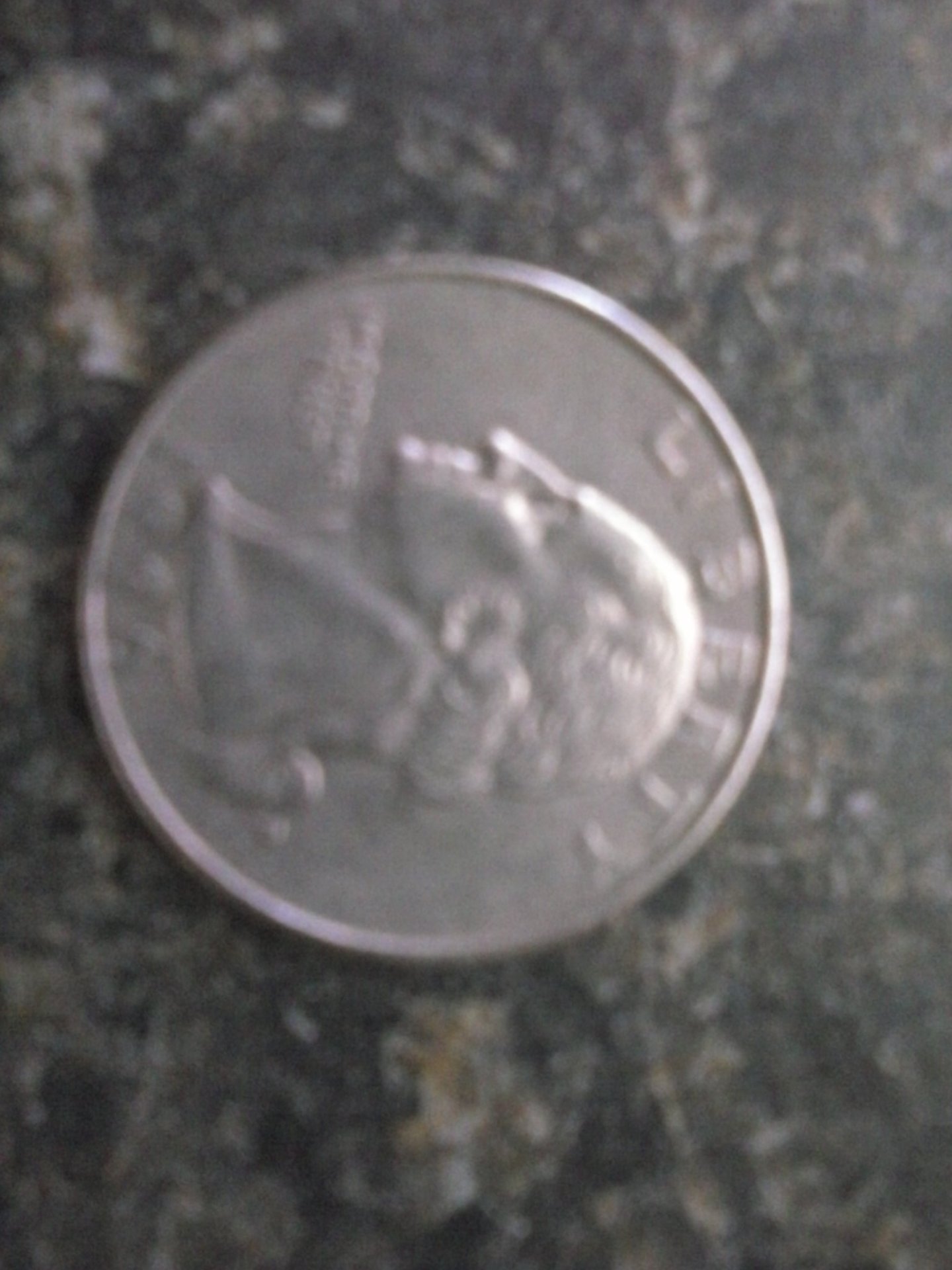 CAM00019.jpg