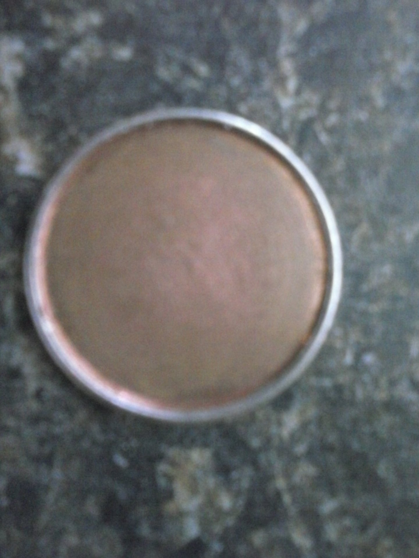 CAM00020.jpg