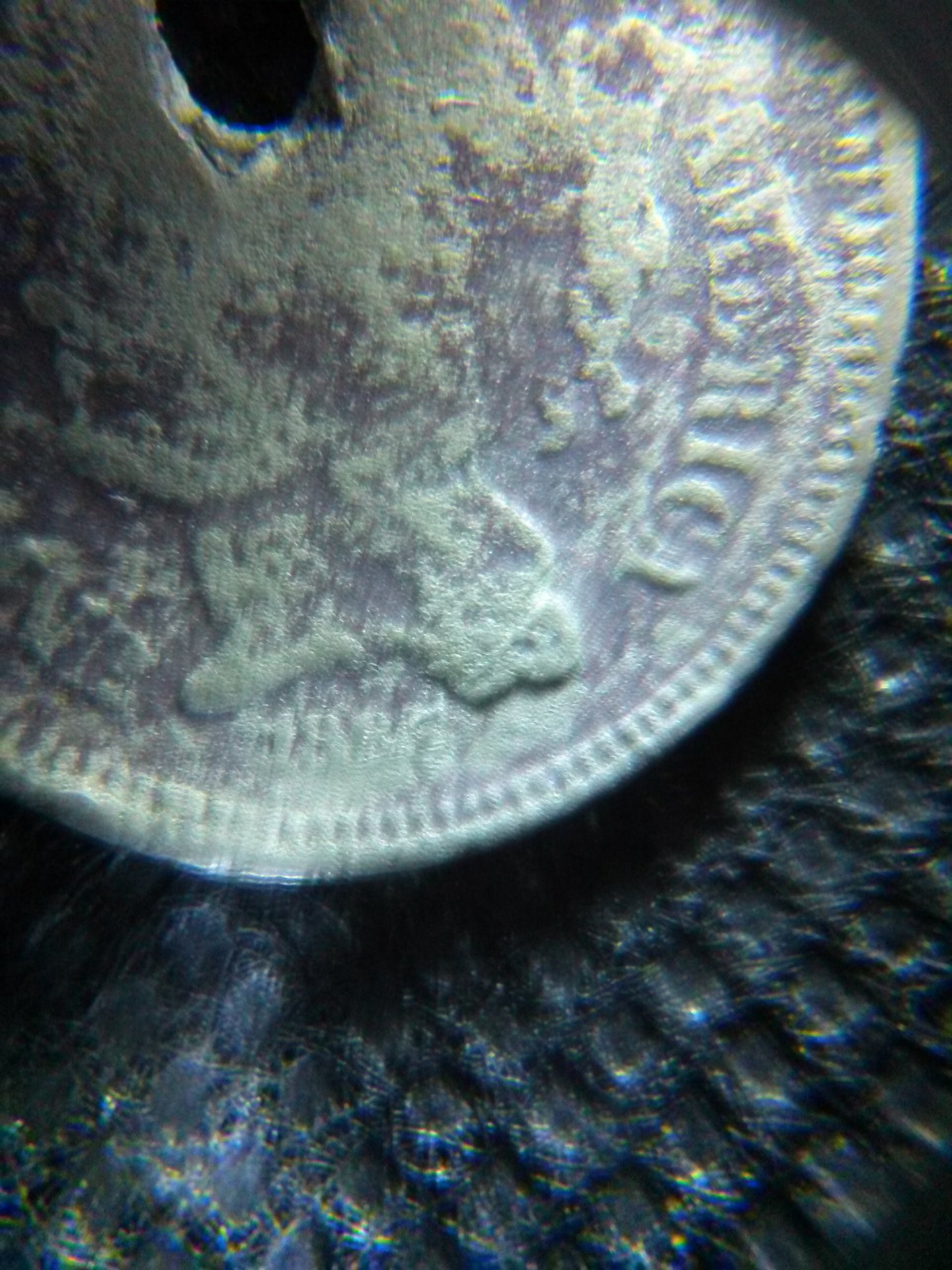 CAM00389.jpg