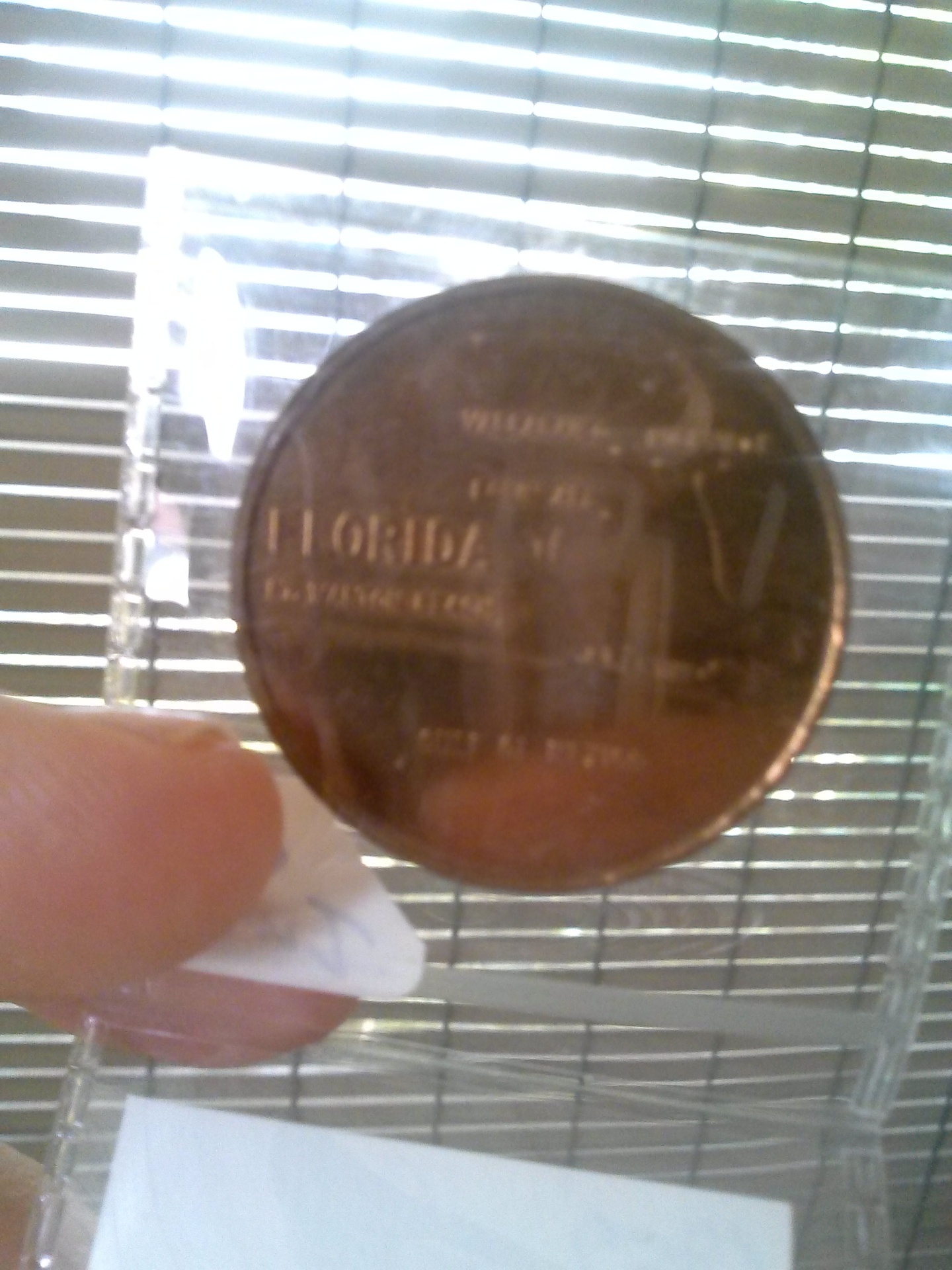 CAM00539.jpg
