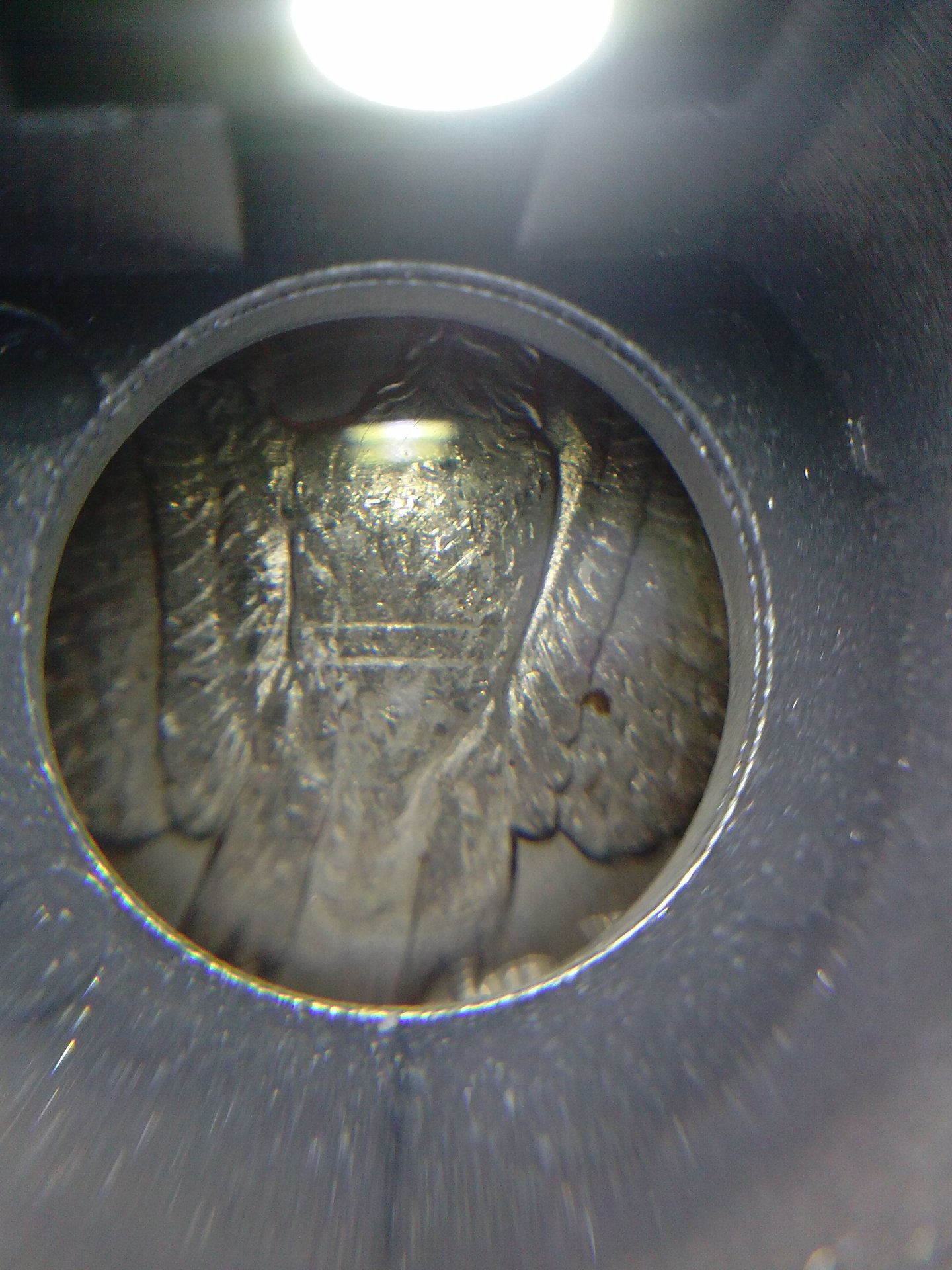 CAM00569.jpg