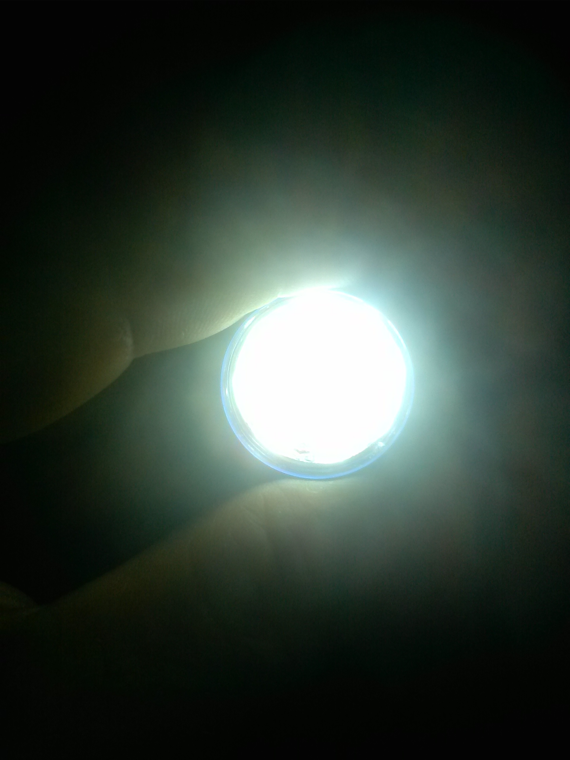 CAM00671.jpg