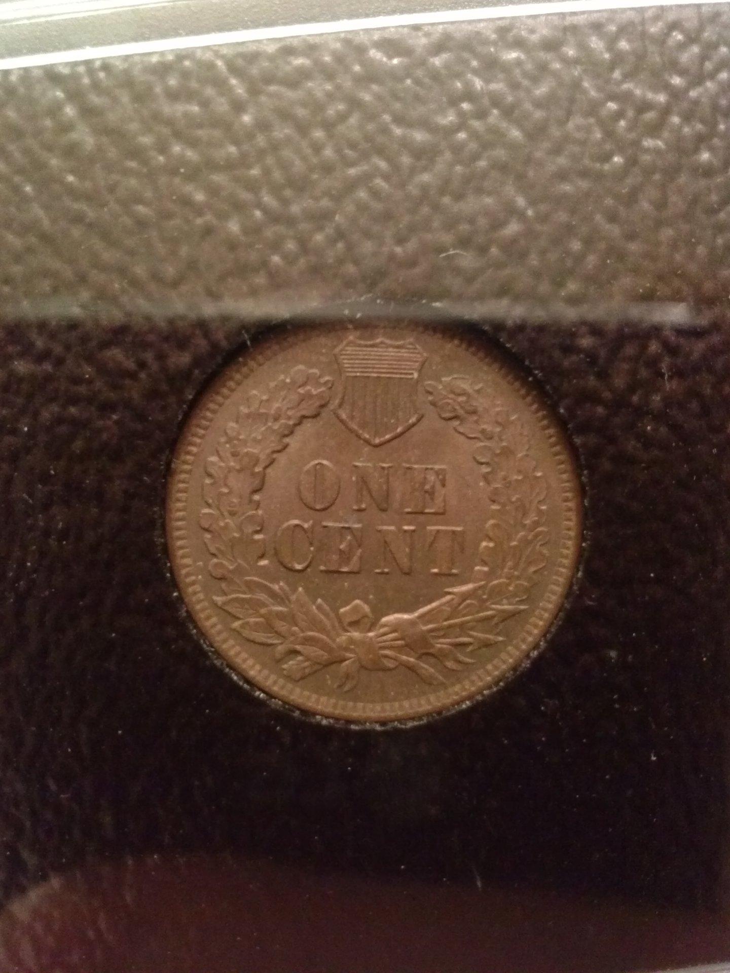CAM00718.jpg