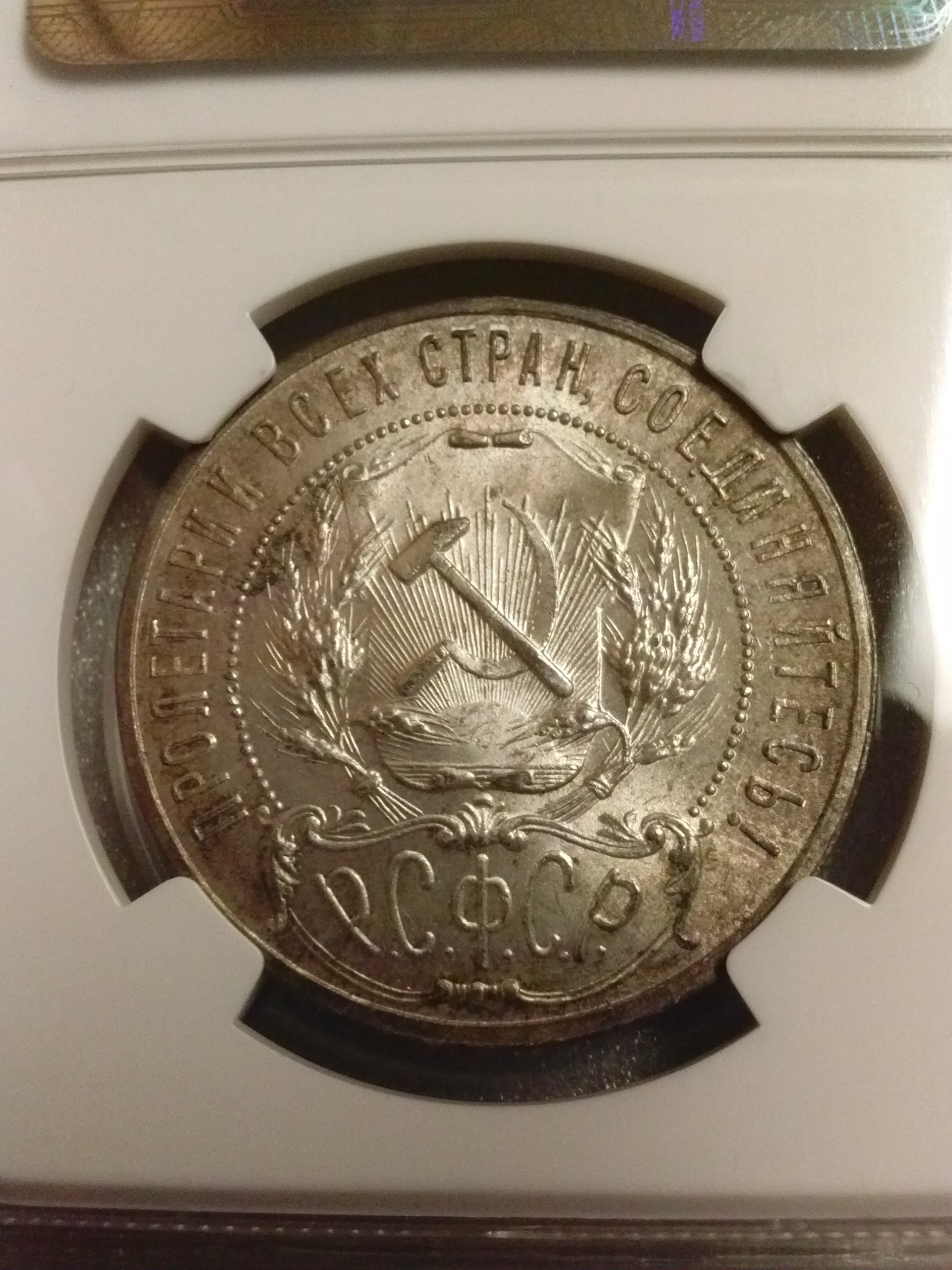 CAM00933.jpg