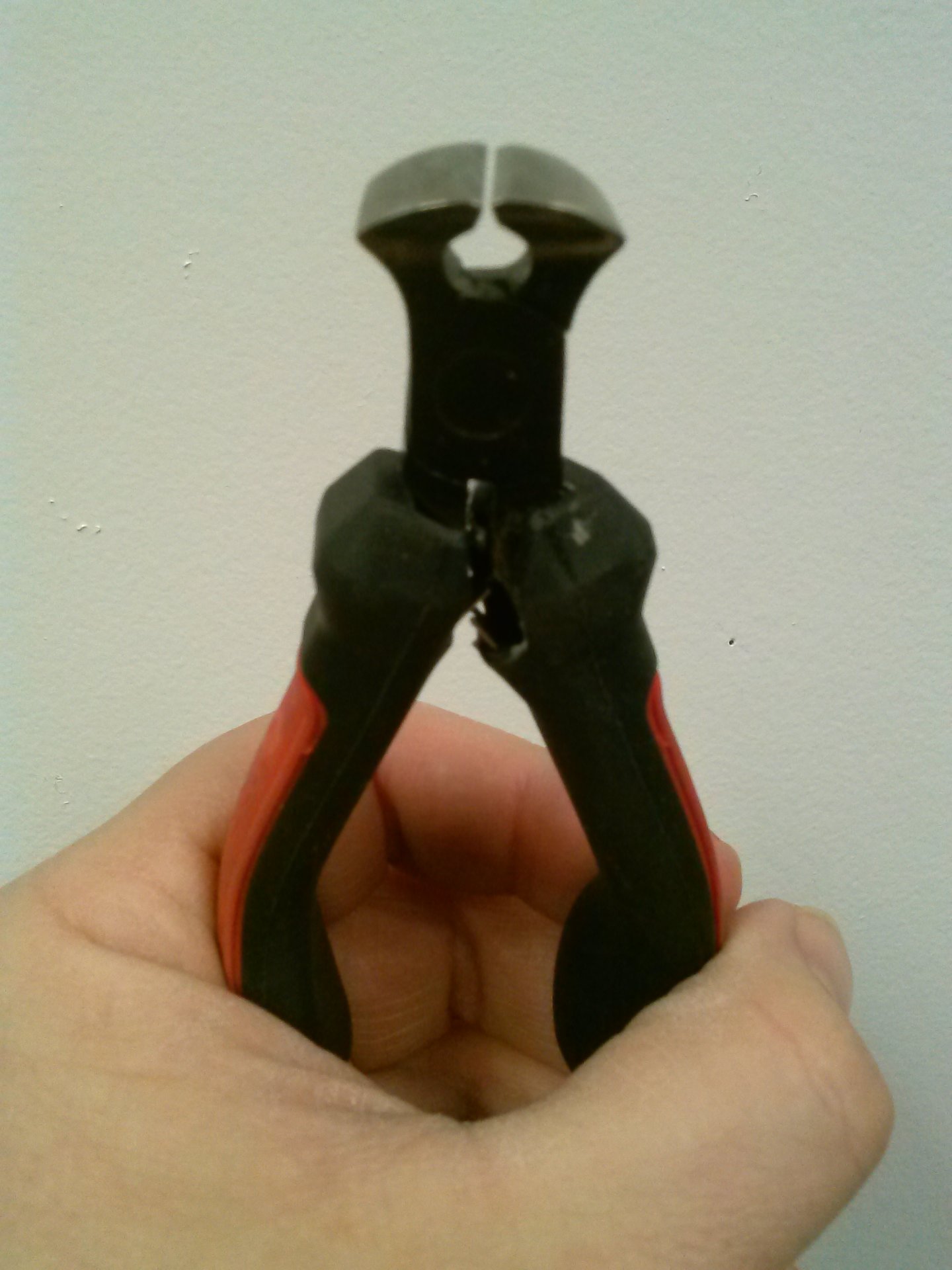 CAM00961.jpg