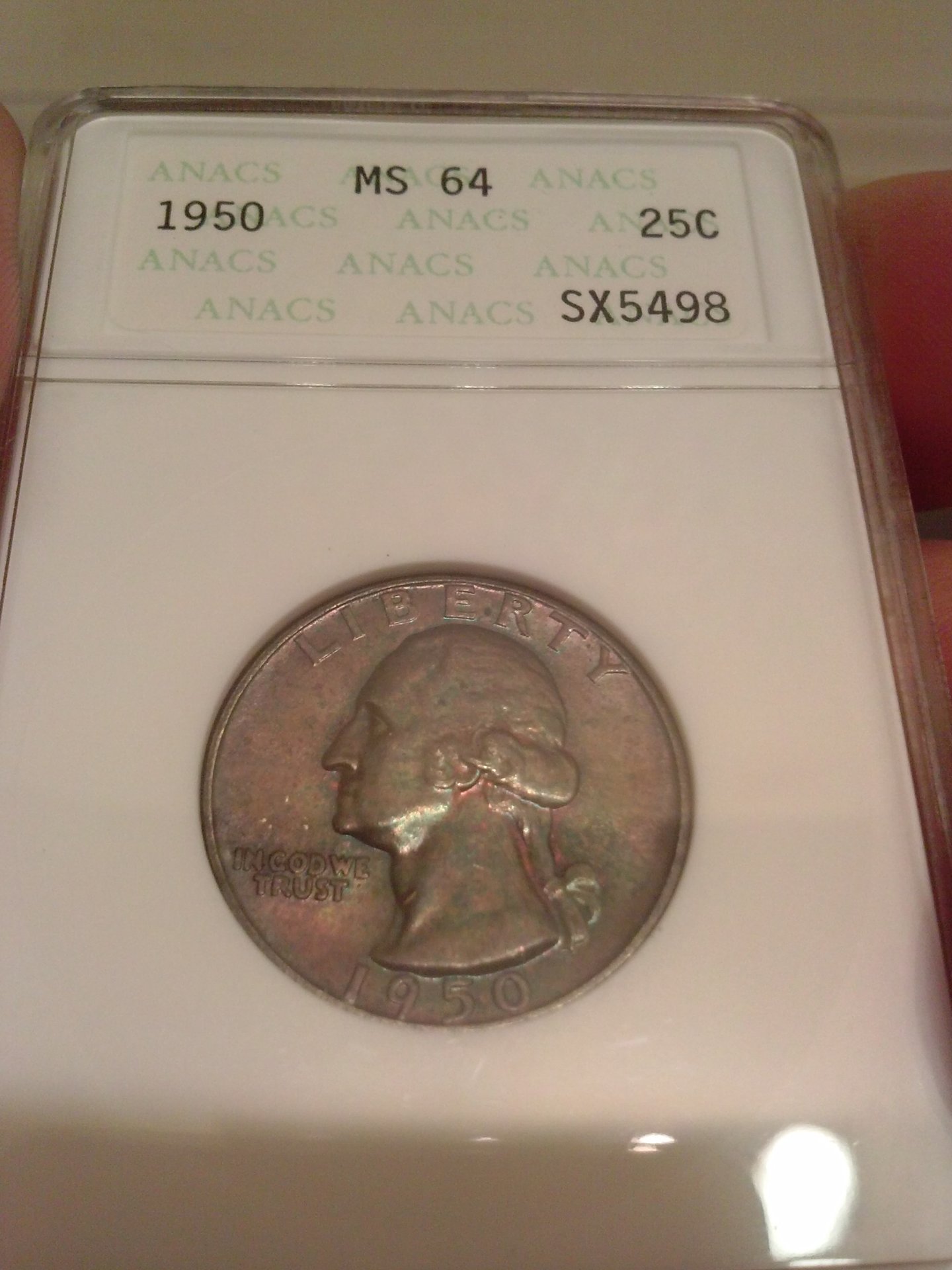 CAM00988.jpg