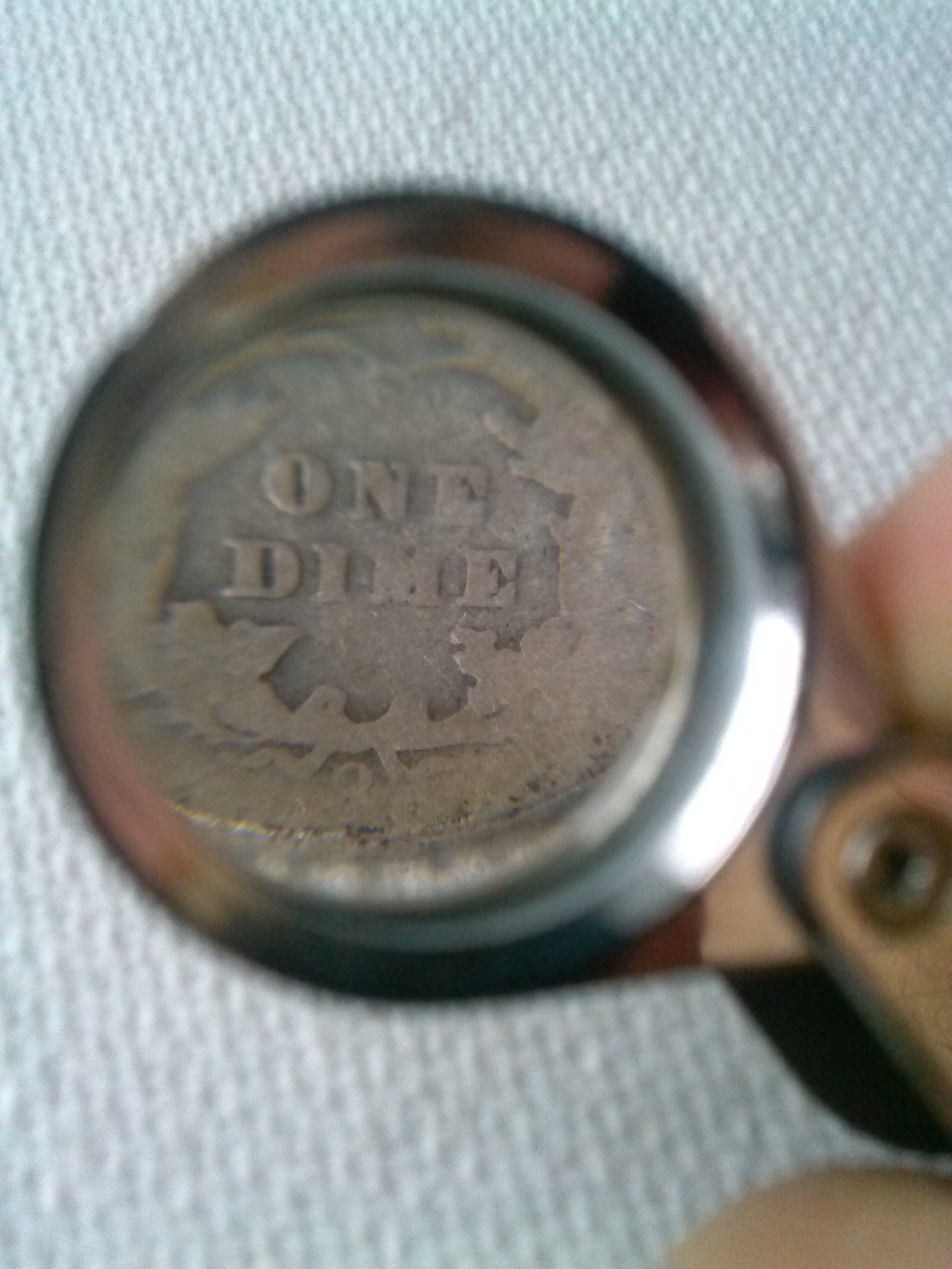 CAM01008.jpg