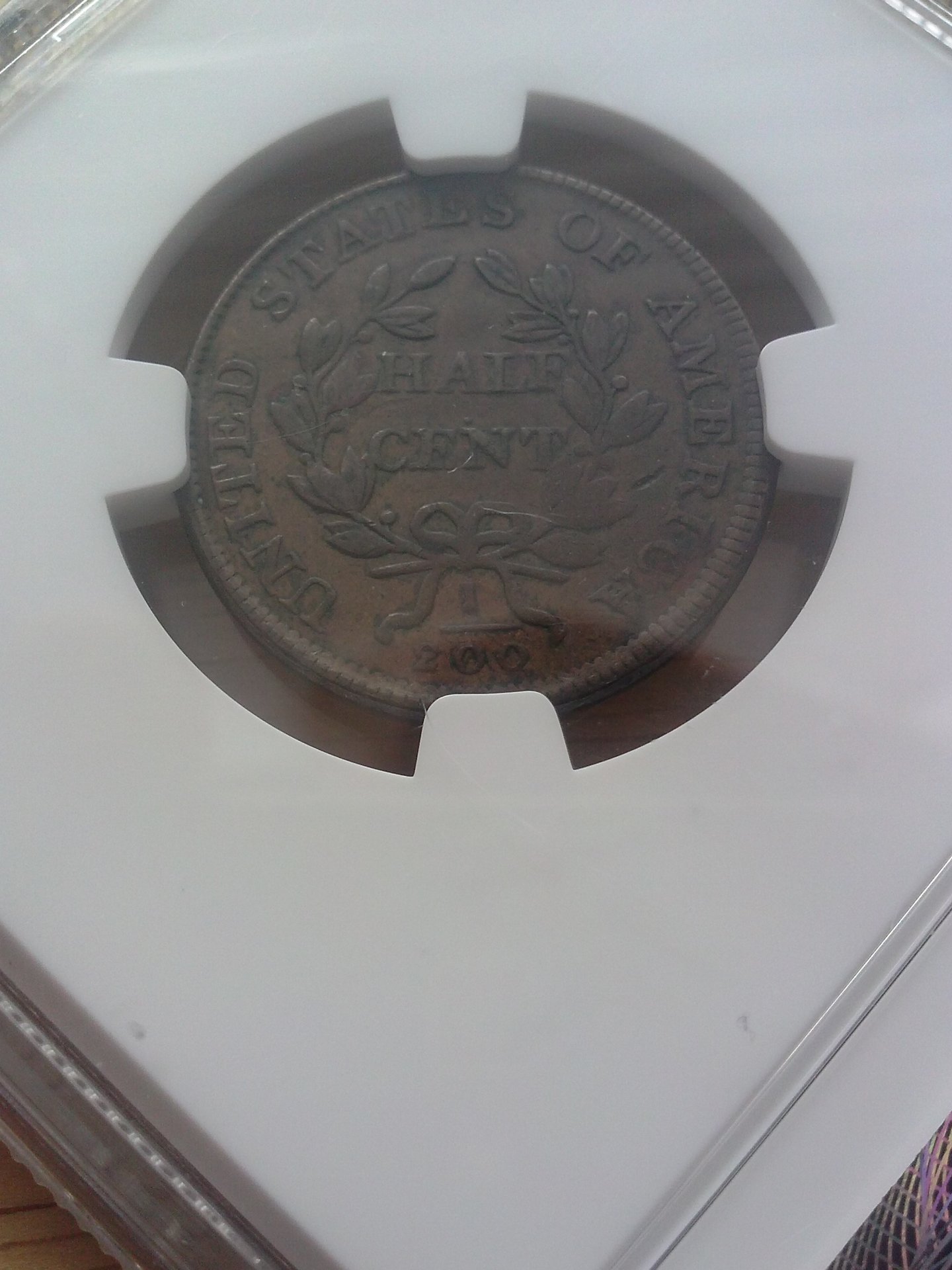 CAM01026.jpg