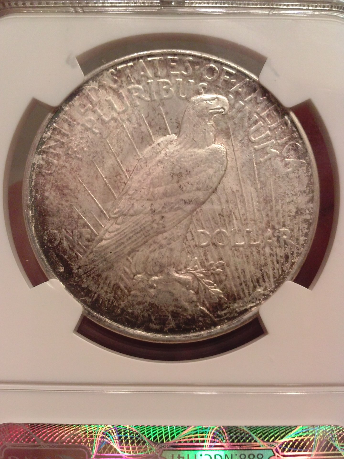 CAM01059.jpg