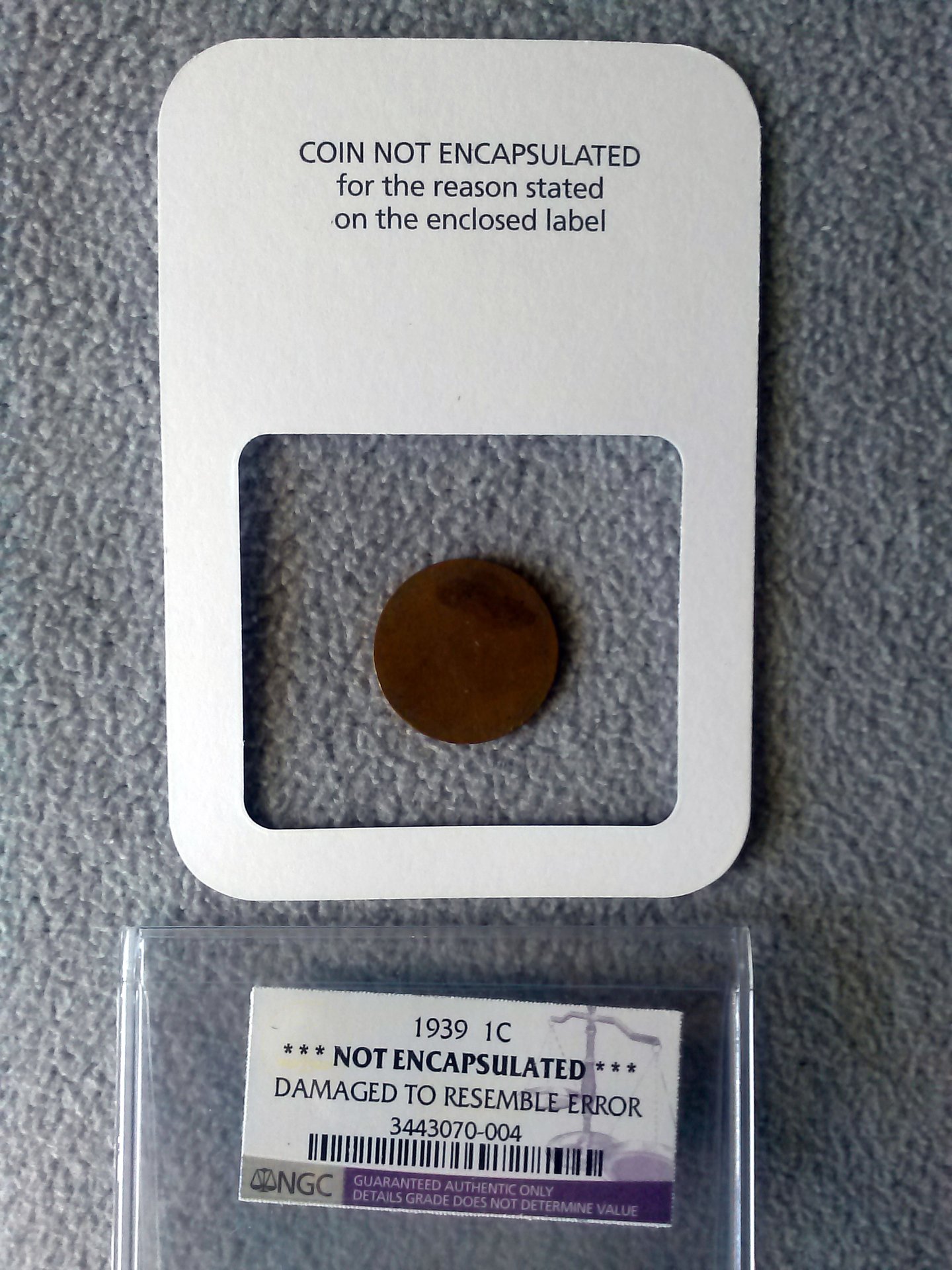 CAM01073.jpg
