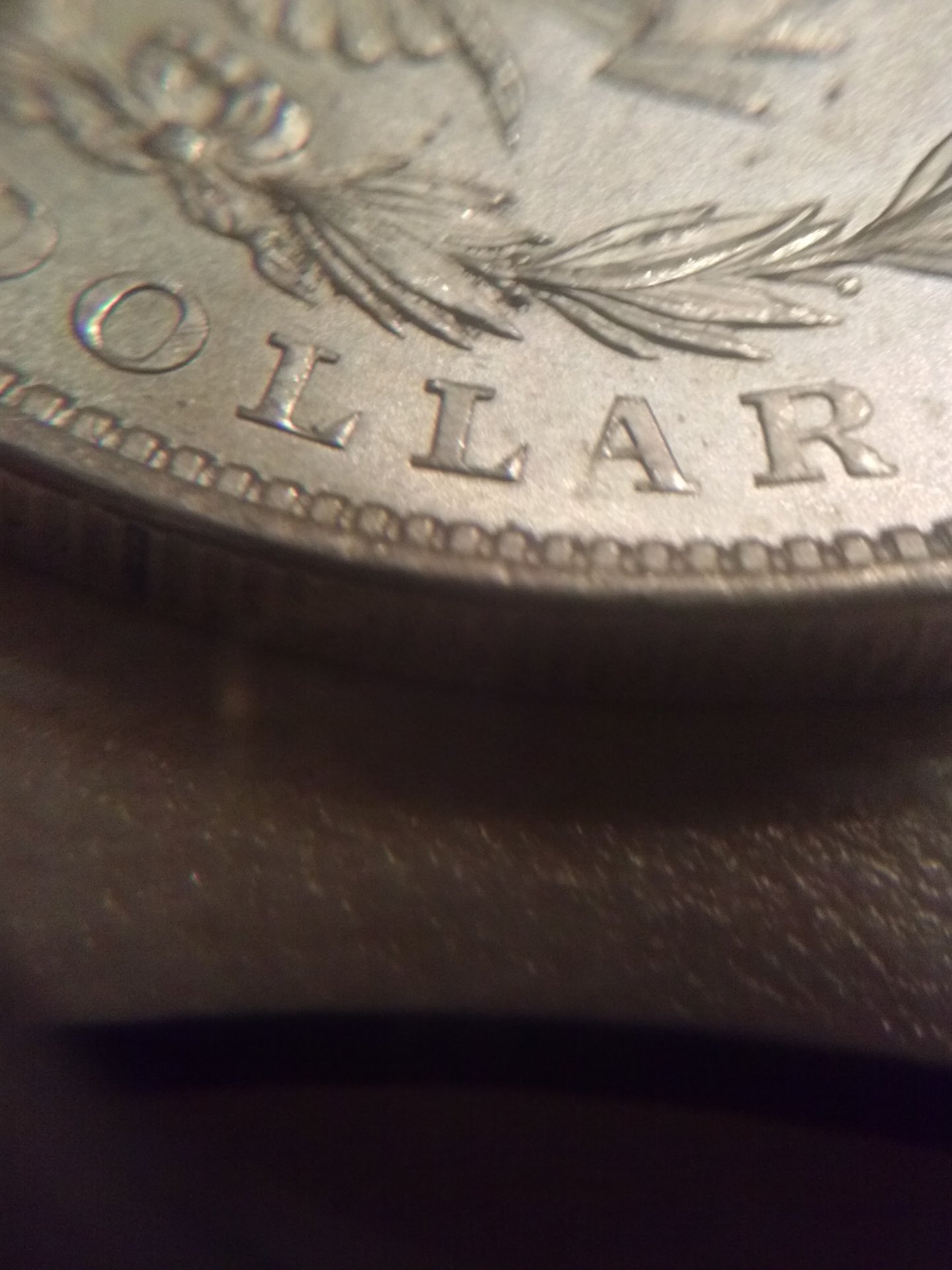 CAM01081.jpg