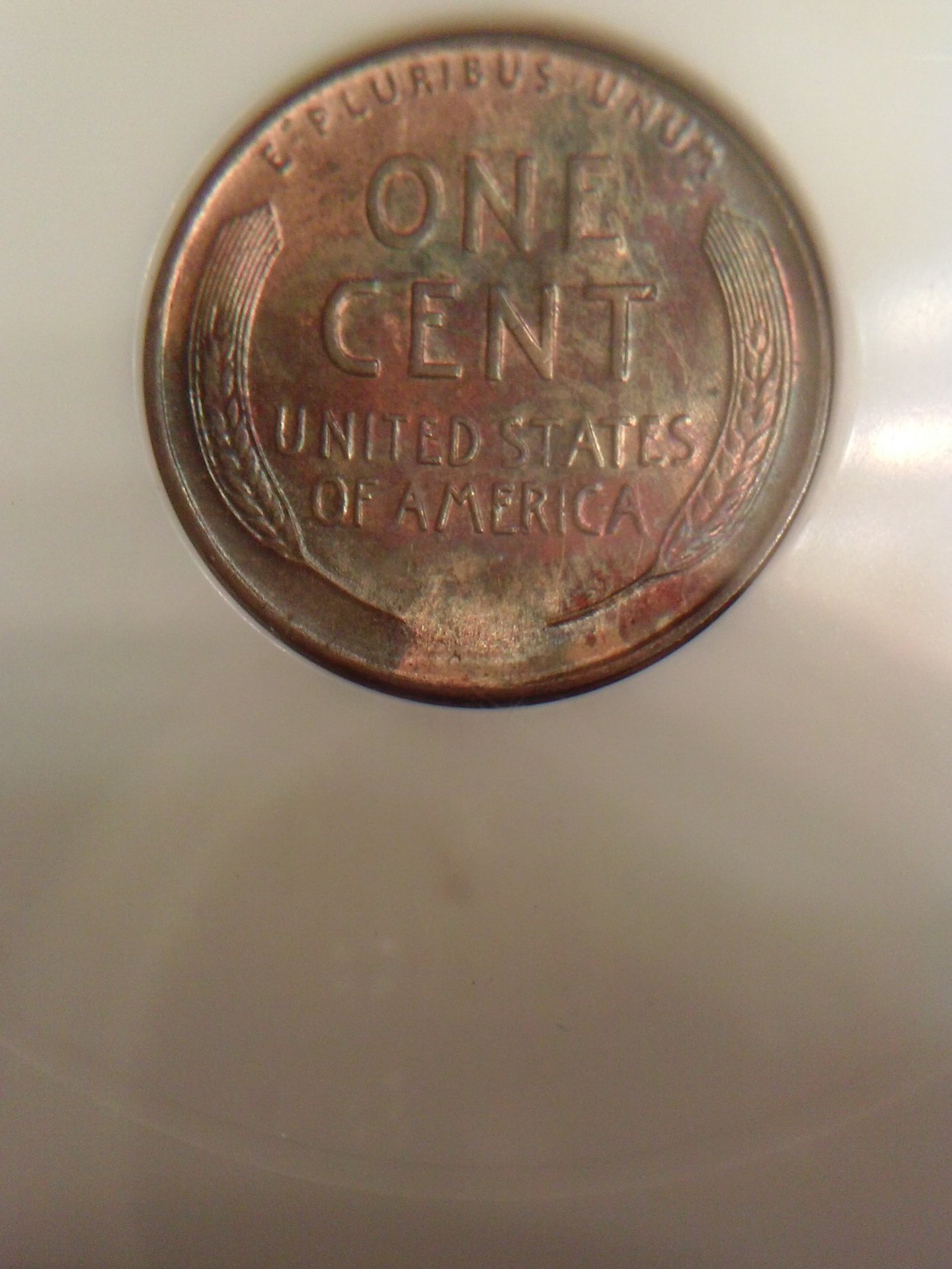CAM01105.jpg