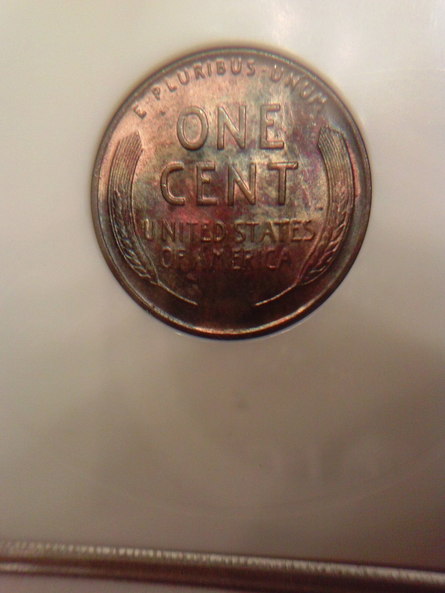 CAM01111.jpg