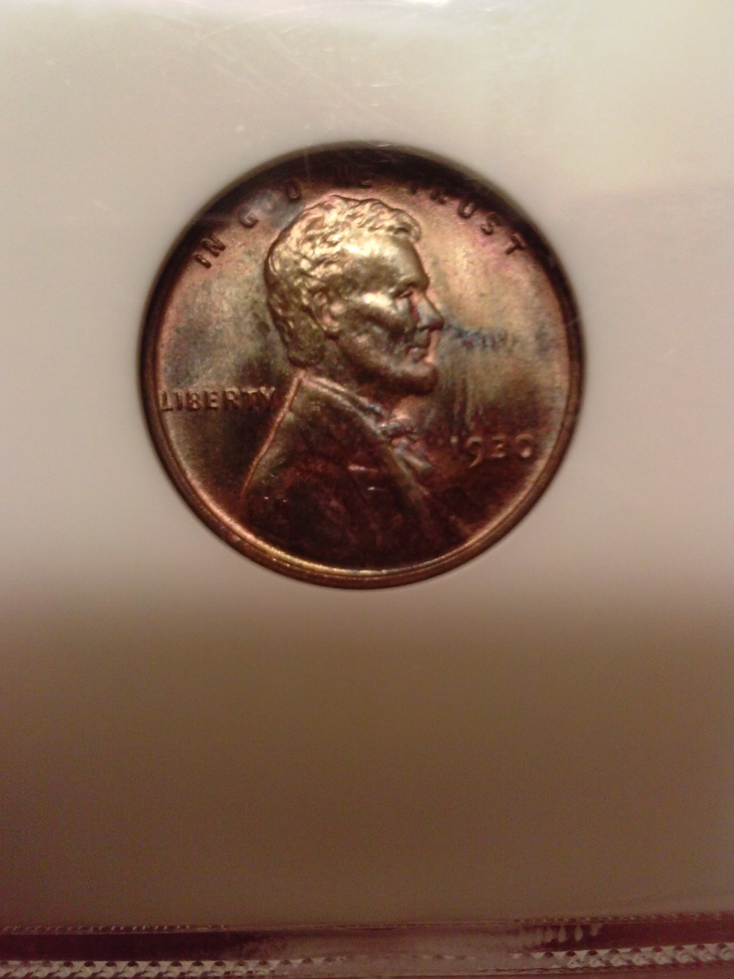 CAM01115.jpg