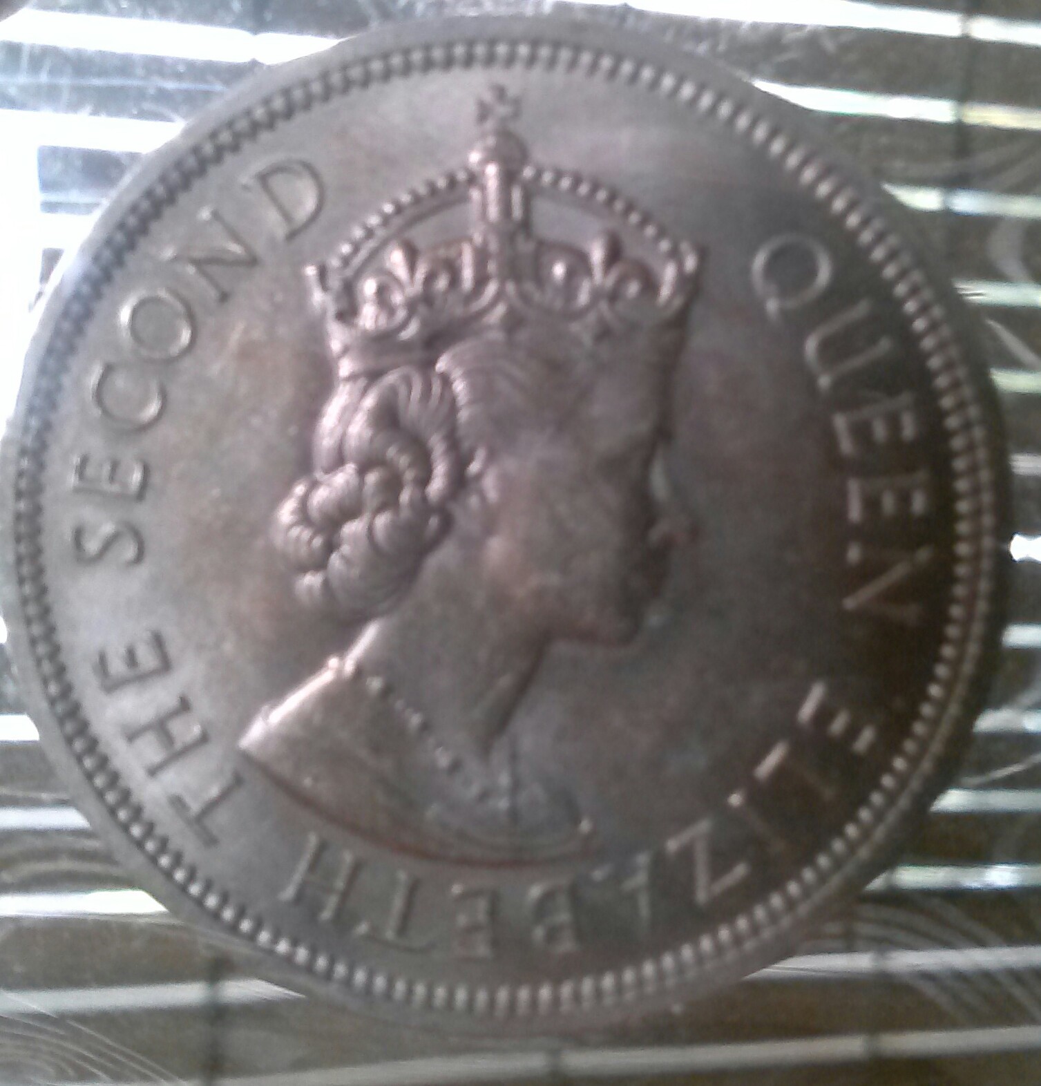 CAM01274-1.jpg