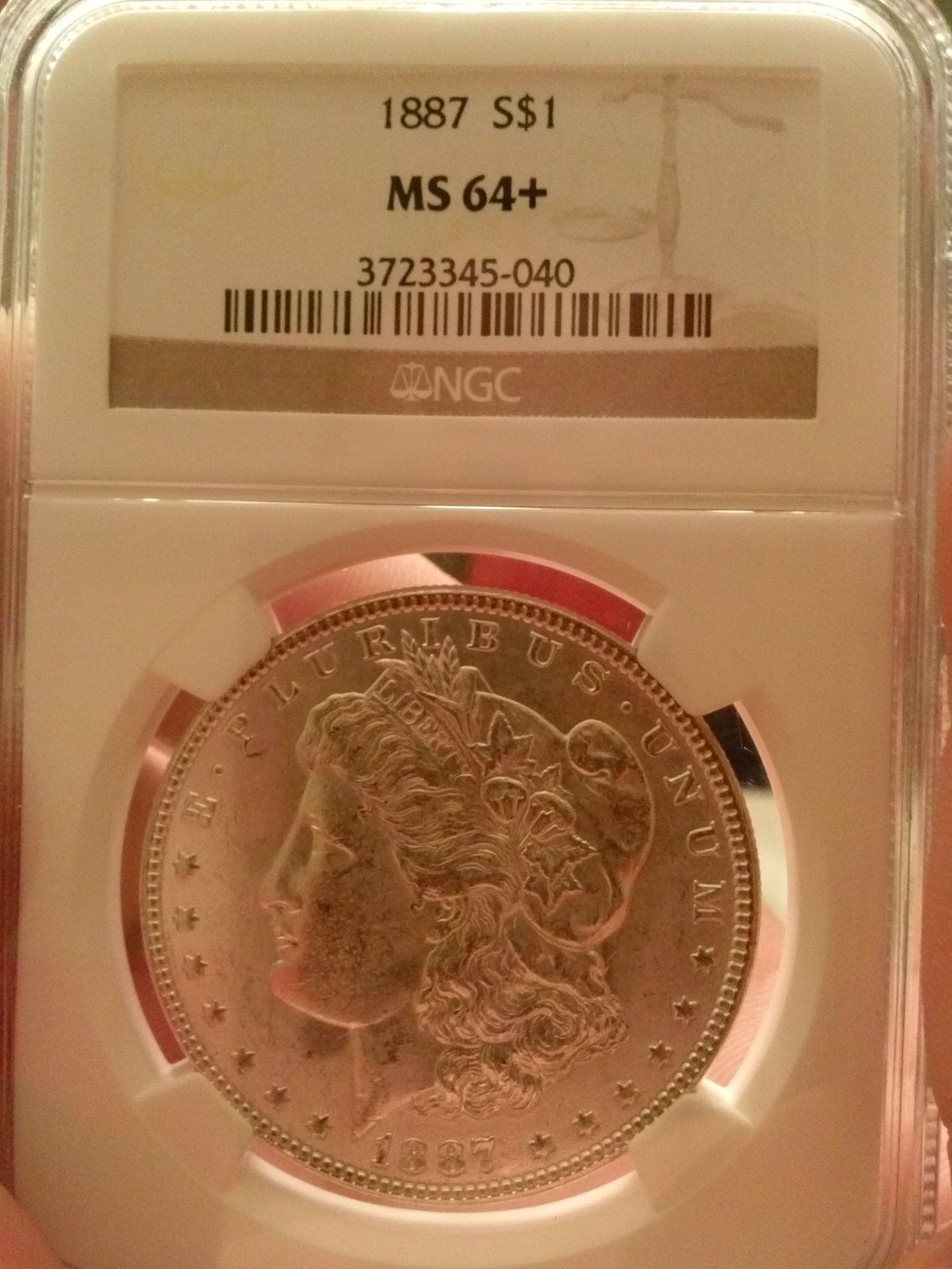 CAM01346.jpg