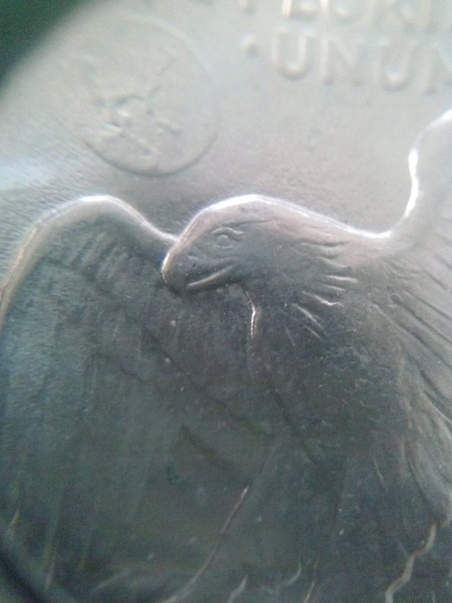CAM01387.jpg