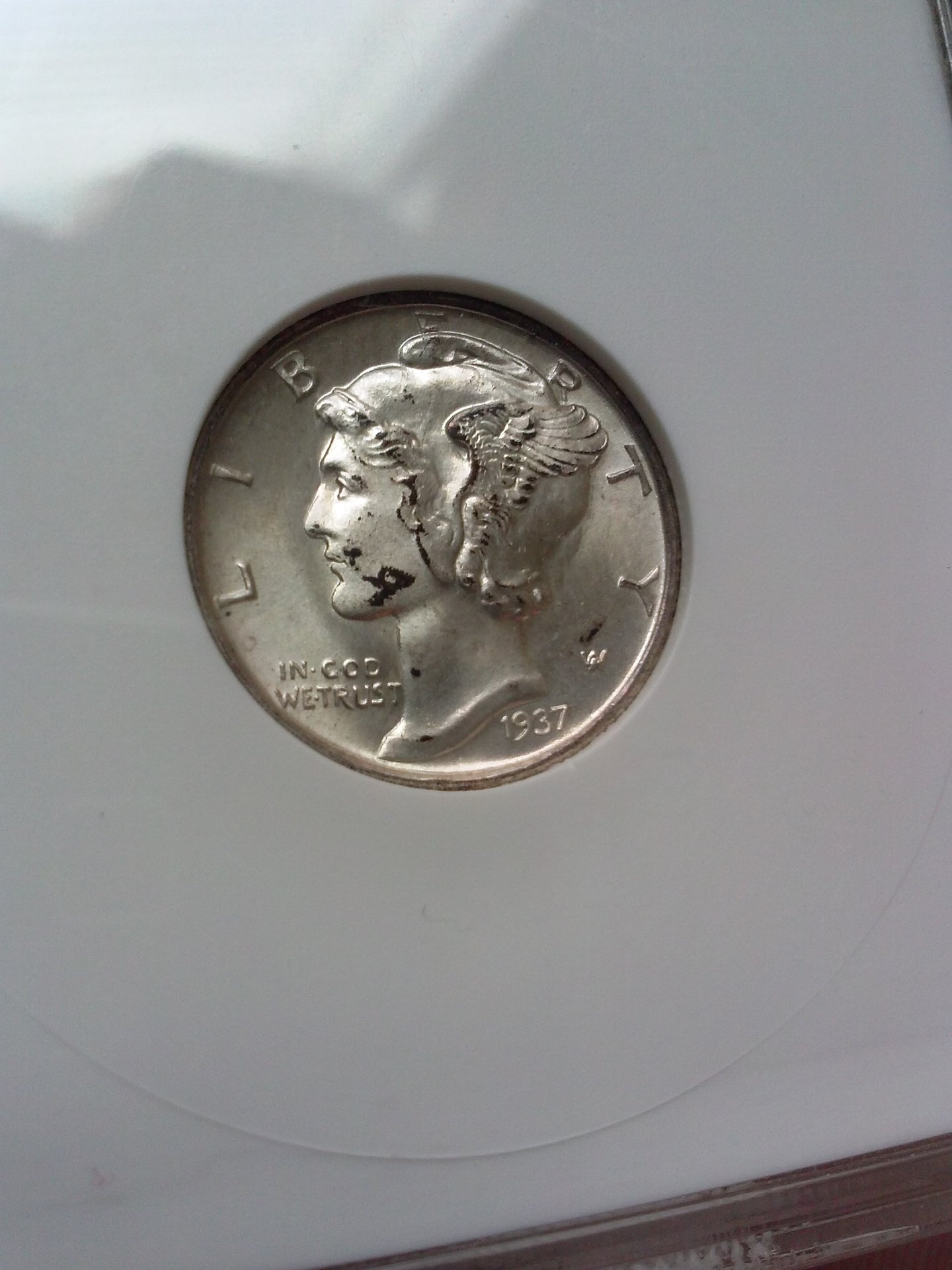 CAM01402.jpg