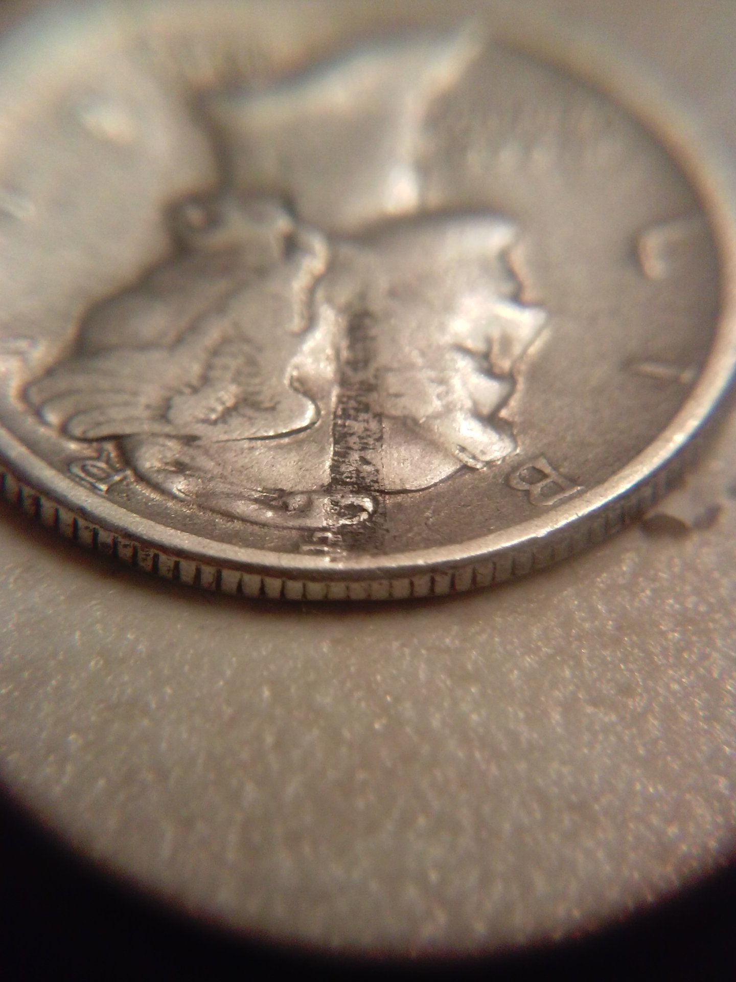 CAM01588.jpg