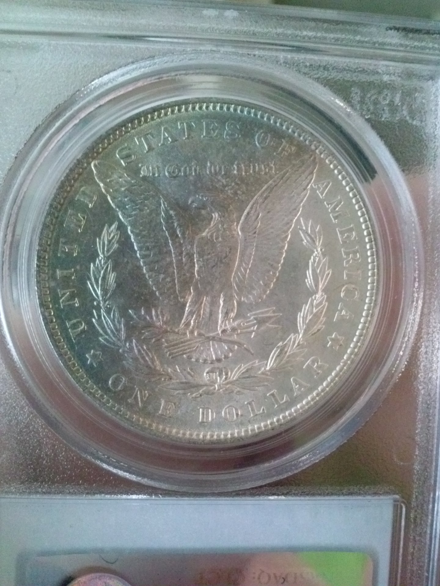 CAM01707.jpg