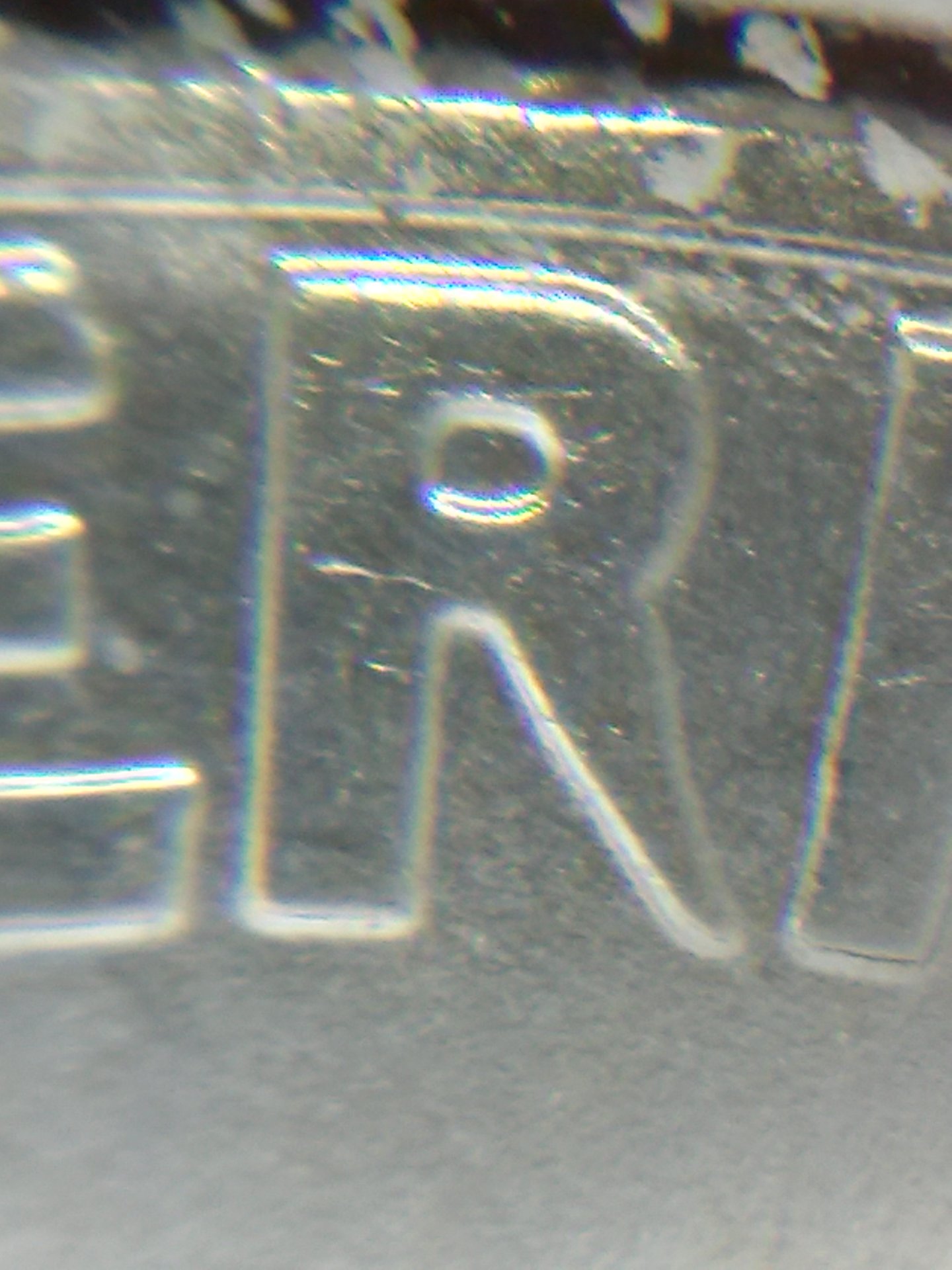 CAM01731.jpg