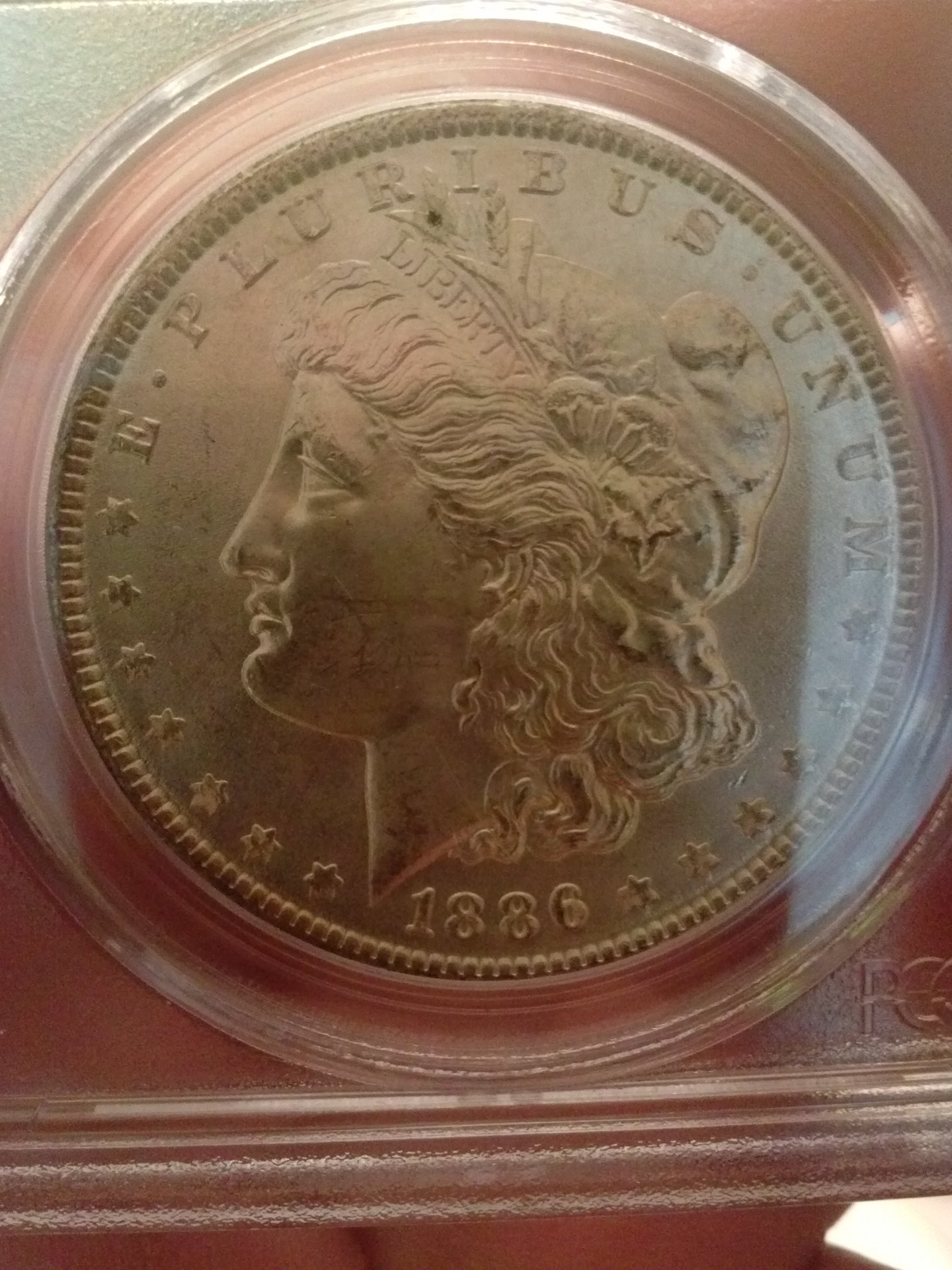 CAM01736.jpg